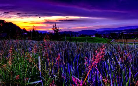 Amazing Beautiful Purple Sky Nature Fields Hd Desktop