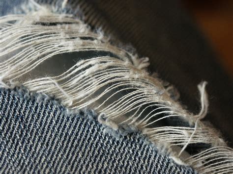 free images needle bird wing jeans feather material sewing thread close up pants