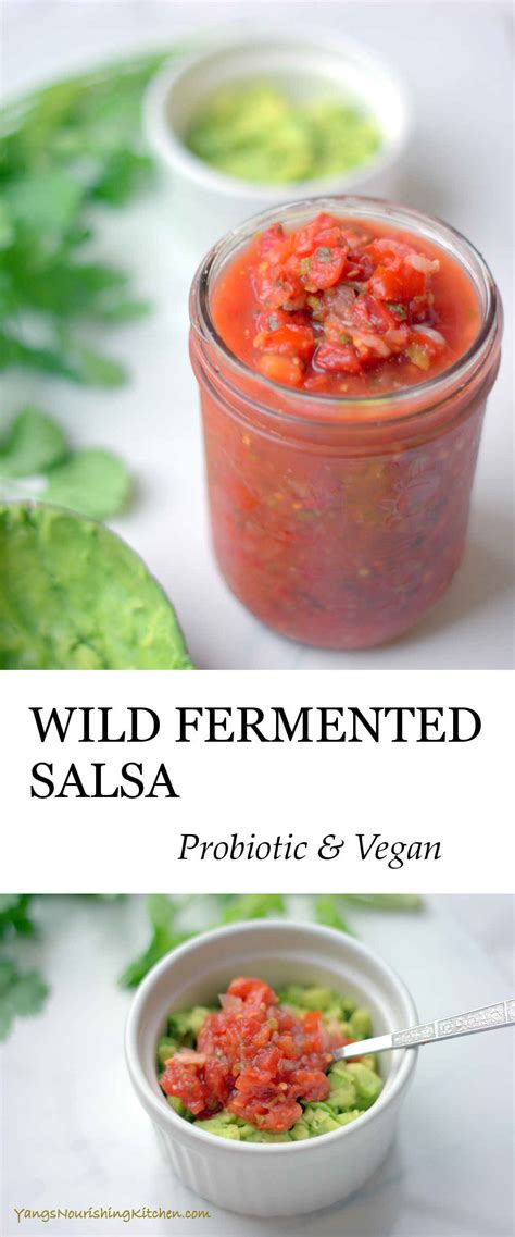 wild fermented salsa no whey probiotic vegan yang s nourishing kitchen