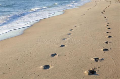 Footsteps In The Sand Two Sets Of Jogging Footprints Along The