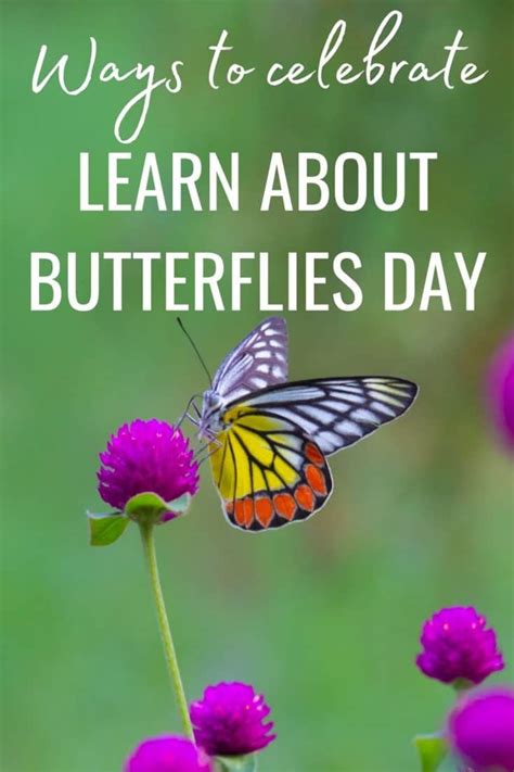 Ways To Celebrate Learn About Butterflies Day On March