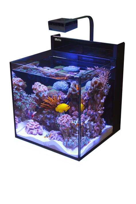 Red Sea Max Nano Complete Reef System 75l 20 Gal A R Exotics