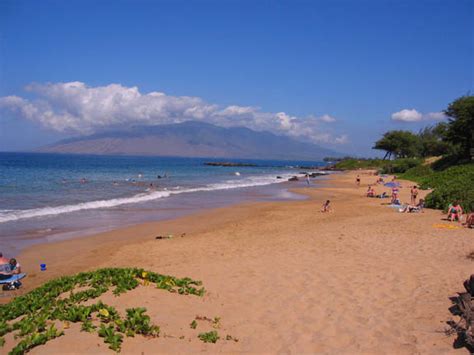 Maui Kamaole Resort Deluxe Vacation Rental Condos In Kihei