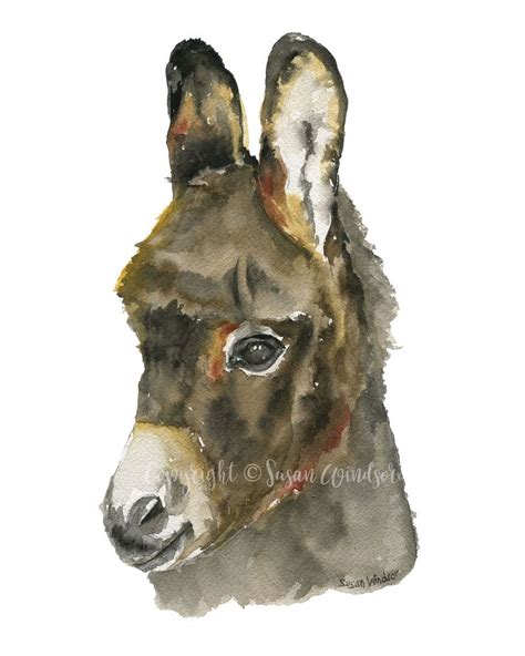 Baby Donkey Watercolor Painting Giclee Print Fine Art Print Etsy