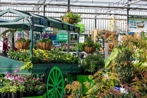 palmers bethlehem nz palmers garden centre pinterest