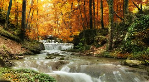 Waterfall By Autumn Trees Wall Mural Wallpaper Ws 42402 Ebay