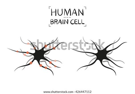 Brain Cell Vector Illustration Isolated On Stock Vector Royalty Free