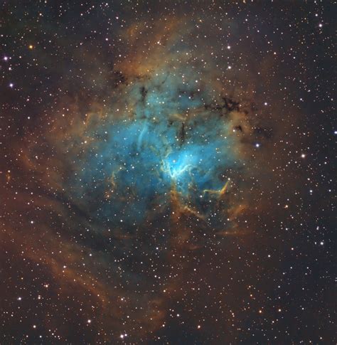 Blue Nebula Shines In Stunning Night Sky Photo Space