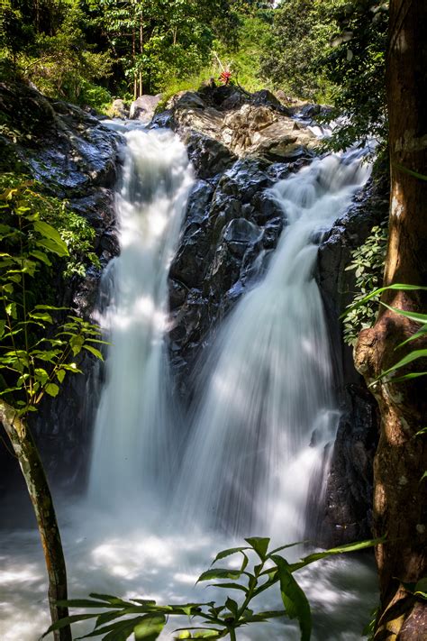 Free Images Landscape Tree Nature Forest Waterfall