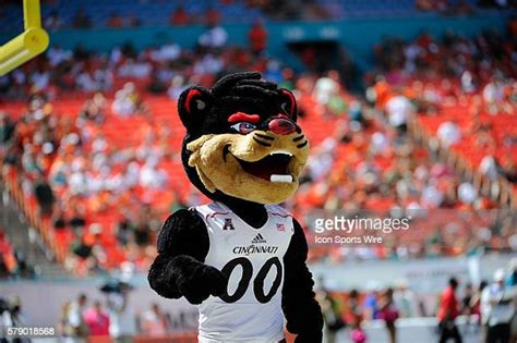 Bearcat Mascot Photos And Premium High Res Pictures Getty Images