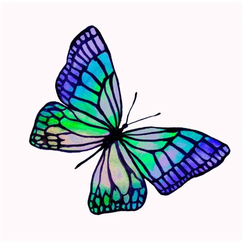 Butterfly Tattoo Outlines Pictures Illustrations Royalty
