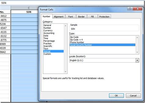 .security numbers (ssn) match social security's records. Excel 2010: Add Standard Phone & Social Security Numbers (SSNs)