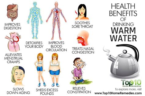 10 Health Benefits Of Drinking Warm Water Top 10 Home Remedies