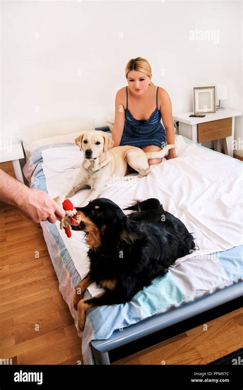 A Woman With Her Dogs At Home Relaxing In Bedroom Young Beautiful
