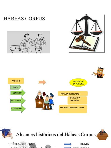 HÁbeas Corpus Pdf Habeas Corpus Principios éticos