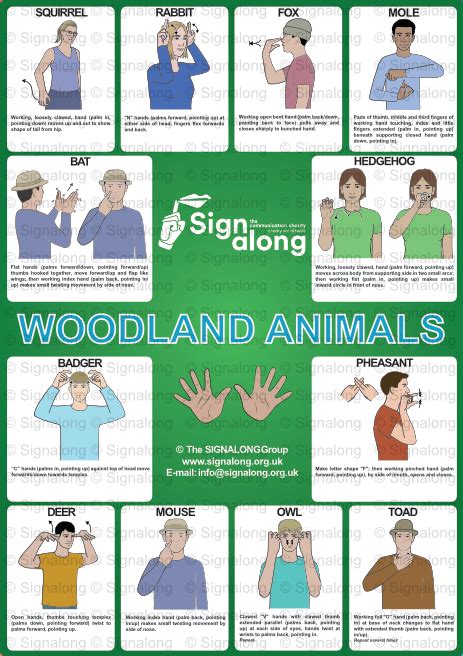 Sign Language Animals Bsl Venessa Mcnabb