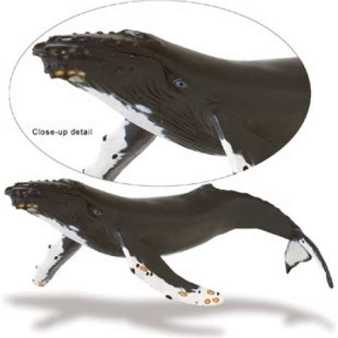 Humpback Whale Replica Figurine Ocean Animal Figurine