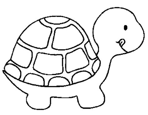 Turtle Coloring ~ Child Coloring