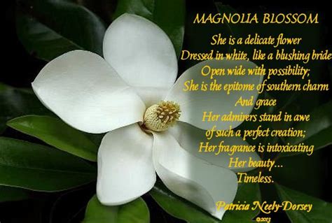 Best magnolias quotes selected by thousands of our users! Reflections of a *Mississippi Magnolia*: THIS MISSISSIPPI ...