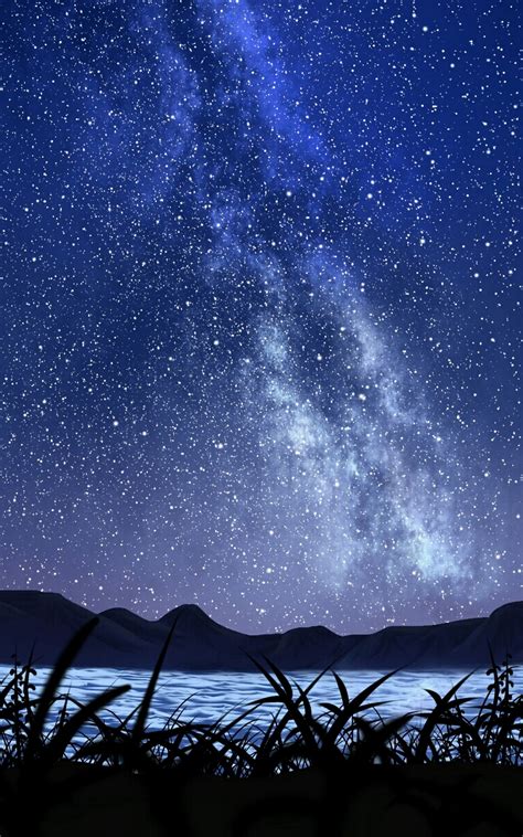 Download 1600x2560 Starry Sky, Night, Plants Wallpapers for Google Nexus 10 - WallpaperMaiden