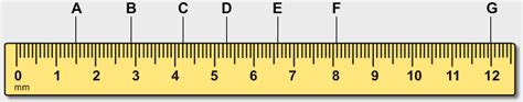 What Is Ruler Definition Types Examples Facts