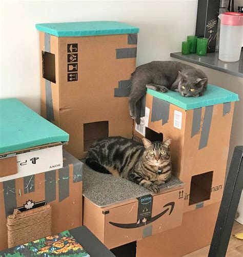 20 Spoiled Cats That Totally Dominate Their Owners Cat House Diy