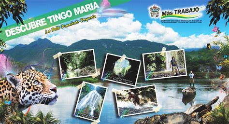 Relanzan Atractivos Turísticos De Tingo María Inforegion
