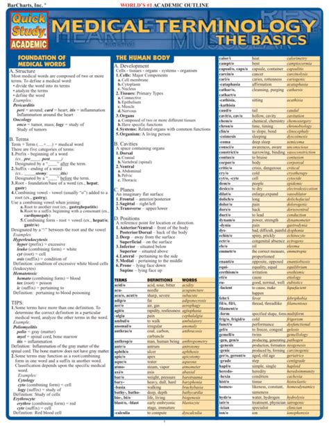 Medical Terminology Chart