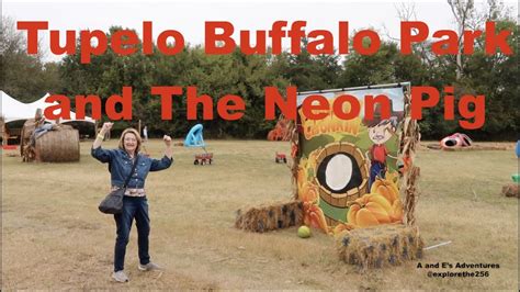 Tupelo Buffalo Park And The Neon Pig Youtube