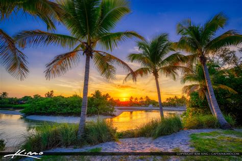 coconut tree sunset jupiter inlet park florida hdr photography by captain kimo