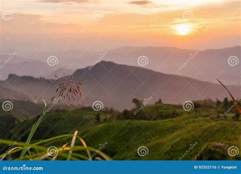 Sunset On Phu Chi Fa Forest Park Stock Photo Image Of Scenery Bright
