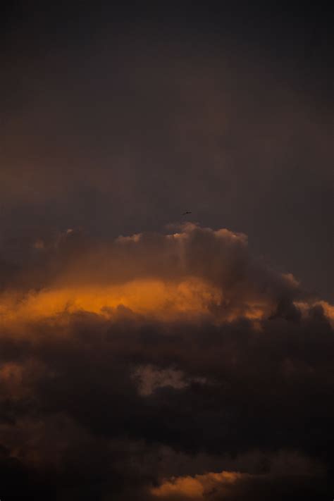 Fotos Gratis Horizonte Nube Cielo Amanecer Puesta De Sol Luz De