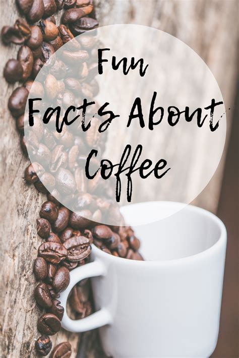 Fun Facts About Coffee Mom And More