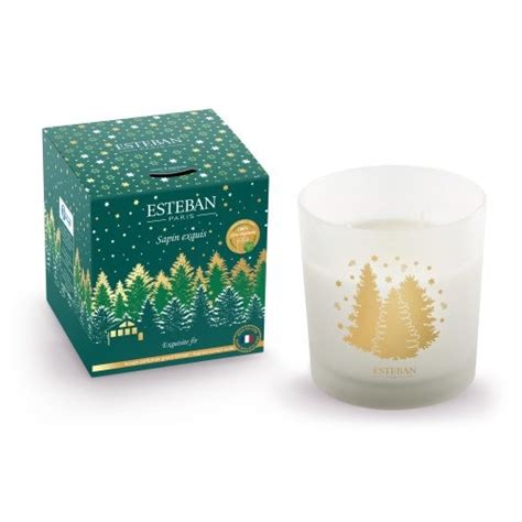 Bougie parfumée 450g sapin exquis Nature Découvertes