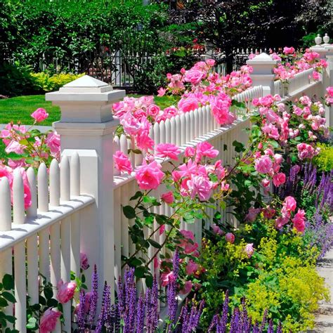 flower-bed-ideas-for-the-front-of-your-house-family-handyman