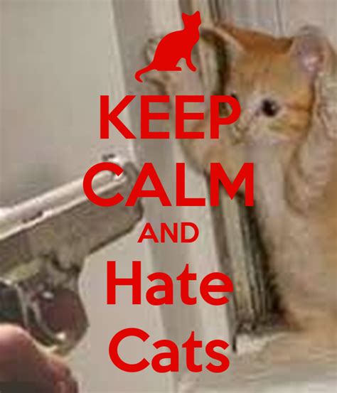 Keep Calm And Hate Cats Poster Dakotaismypuppy Keep Calm O Matic