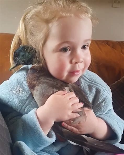 Adorable Footage Of A Young Girl Cuddling Her Pet Duck Pet Duck
