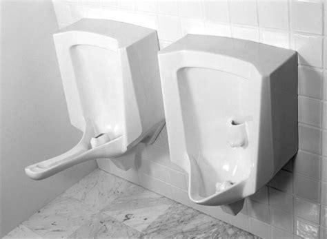 Female Urinal Potty Humor Sex Furniture Water Closet Toilet Design