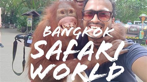 Safari World And Marine Park Bangkok A Complete Guide Youtube