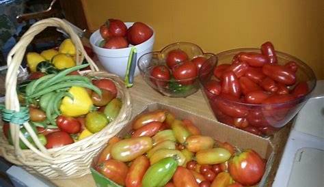 Harvest time Harvest Time, Tomato, Vegetables, Garden, Food, Garten