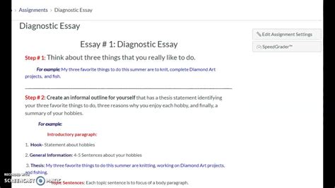 Diagnostic Essay Example Telegraph