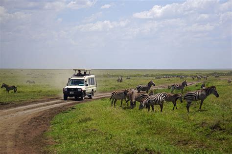 4 Day Tanzania Northern Circuit Safari African Tanzanite Safari