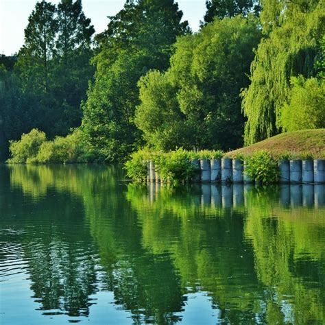 Republica austriaösterreich (germană)republik österreich (germană). حديقة كوربارك أوبرلا فيينا | المرسال