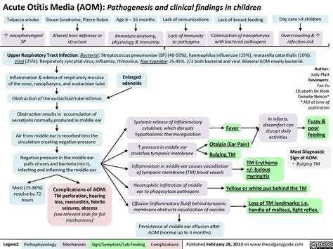 Acute Otitis Media Pathogenesis And Clinical Findings In Children
