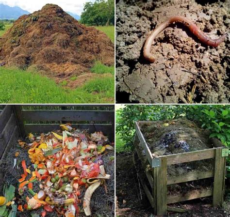 What Is Compost Types Of Compost Compost Methods Agri Farming 2022