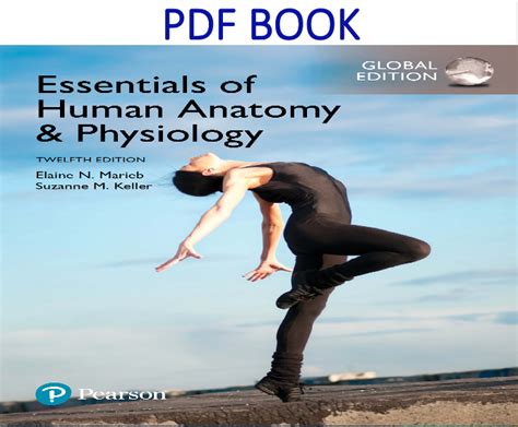 Essentials Of Human Anatomy And Physiology 12th Global Edition Pdf Book