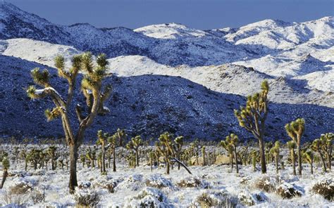 Snow-covered desert wallpapers and images - wallpapers ...