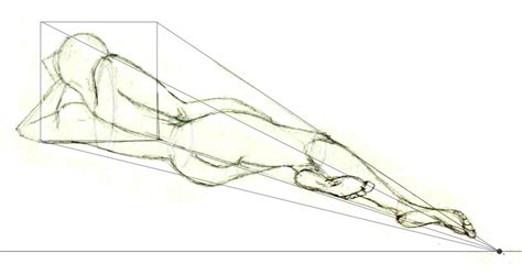Drawing The Human Figure Perspective And Foreshortening Haberler