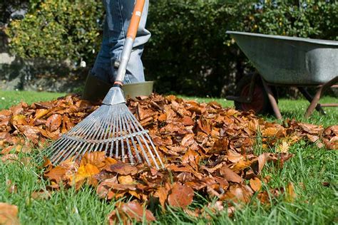 Preparing Your Lawn And Flowerbeds For Winter