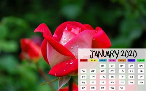 January 2020 Calendar Desktop 2560x1440 Wallpaper